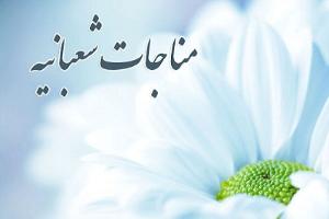 تصویر کوچک